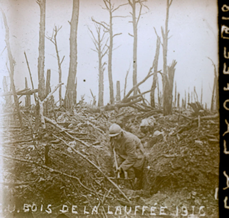 HUMERY bois de lauffee 1916