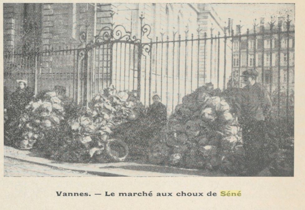 1929 Chou Séné Préecture Vannes