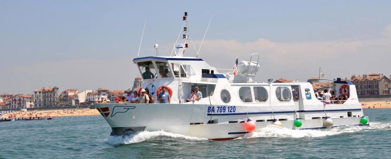Nivelle 5 Ex Avocette